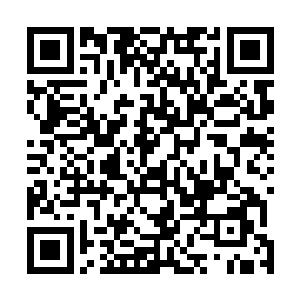 耿家成显然也没有想到一向开朗爱笑的梅子竟然会这样说二维码生成