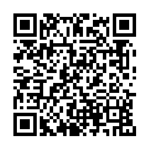 耿建国的老婆骂完之后发现身后没有儿子的声音二维码生成