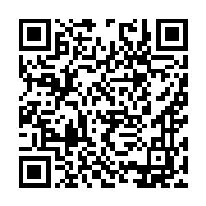 聂云分别在昊乾尸体的头上手指脚趾分别刺了一下二维码生成