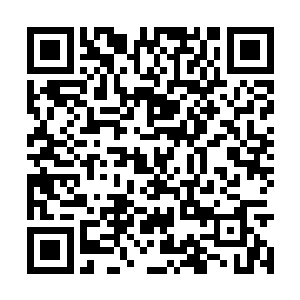 聂云等人来到这里的目的是寻找阿耶纳之晶的消息二维码生成