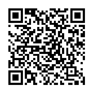 聂亦筠愈发认真每天早上都会跟刘淑芬和杜文慧下楼去晨练二维码生成