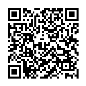聂小倩也不认为他的来头能比荣亲王或者火凤仙子更大二维码生成