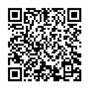 聂无笑也知道自己这次把苗毅的家底子给刮的太凶了二维码生成