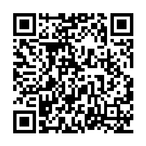 聂星痕和明尘远如今住的地方是在苍榆城的城北二维码生成