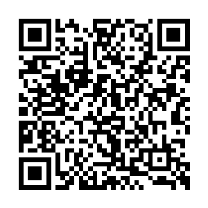 聂星痕竟然能在短短几年之内就参透了那些书籍二维码生成