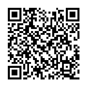 聂洪波副市长请吃饭的意思是让尽量照顾建委系统二维码生成