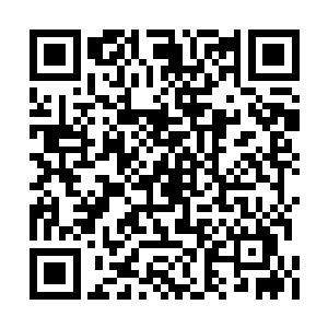 聂离一直不停地培养训练一批忠诚于妖盟的弟子二维码生成