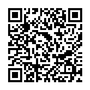 聂离真的能把龙舌草的毒素从叶宗大人的体内逼出来二维码生成