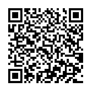 聂离自然迫不及待地想要把妖血祭的力量全部都发挥出来了二维码生成