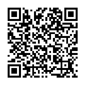 聂辰在其中寻找炼制苏合酒香丹和六虫活血药水的材料二维码生成