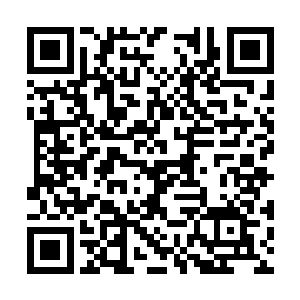 聂远直接用一件宽大的披风将昏迷的昭萱郡主裹住二维码生成