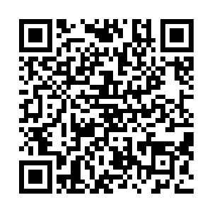 聊着聊着就说到了那天你结婚的事……感激我的救命之恩二维码生成