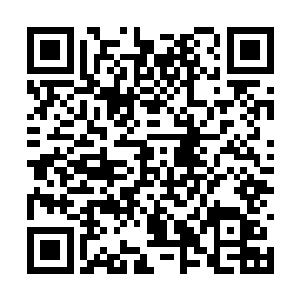 职业选手和职业战队是不会出手的业余玩家的活动二维码生成