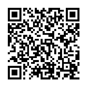 联军并没有选择原维多利亚港的梦境之森核心区作为登陆点二维码生成