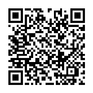 联军指挥部两天前专门派了一个上校来到水晶战堡二维码生成