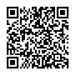 联合国有关部门一怒之下竟然要把樱花组织列为国际恐怖组织二维码生成