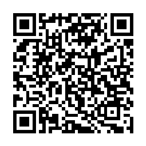 联想到之前禁锢自己和圣王的那一股恐怖无比的力量二维码生成