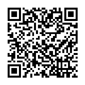 联想到自己在好莱坞被制片商们像个皮球般踢来踢去二维码生成