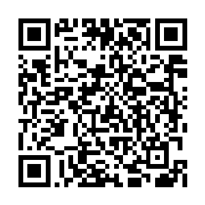 联想起自己之前的时候一颗极品两颗上品的成绩二维码生成