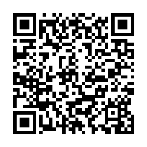 联盟在千年山脉南方三分之一的土地都是老子开辟出来的二维码生成