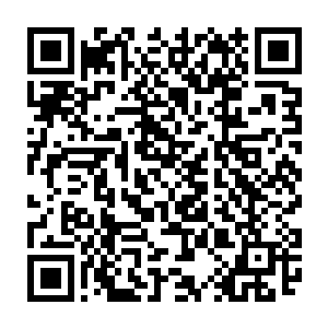 联赛举办方便从军网虚拟系统中调出了他们在系统内使用机甲的各项参数二维码生成