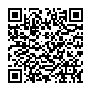 联邦人民竟然会选出这样一位野蛮莽撞的议长啊二维码生成