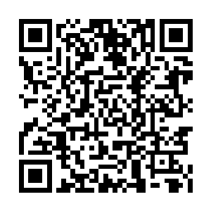 联邦从古圣界运送了大量移民到骸骨龙星去生活二维码生成