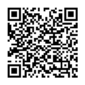 联邦本来就是星海边陲一个仅仅占有九大贫瘠世界二维码生成