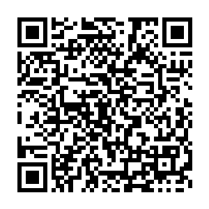 聚集了三大海族的十二部军团和原来水族的十二支部的十二部军团二维码生成