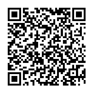 聚集在一起立于大树树顶的众人有些发愣的看着彩霞漫天的绮丽景象二维码生成