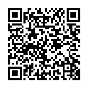 聚集在意识海中包裹血誓印记的混沌之力也在刹那间消失不见二维码生成