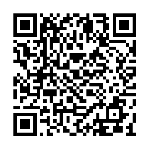 肆小仙现在的形象早就不是那七八岁的小女孩了二维码生成