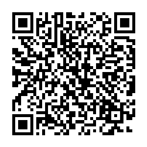 肉干开始分解出石头所无法分解的铁皮蝾螈所需要的营养物质和能量二维码生成