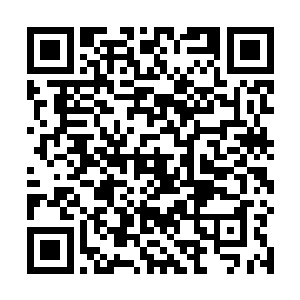 肉白骨的绝世宝药……不但是可以治疗绝大部分的伤势二维码生成