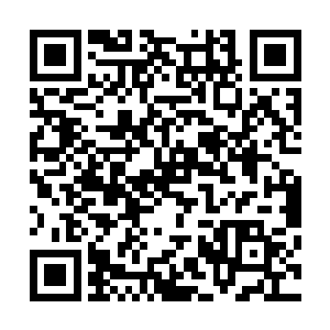 肉质也比较的细嫩而且有些魔兽的肉中也是有很多的能量的二维码生成
