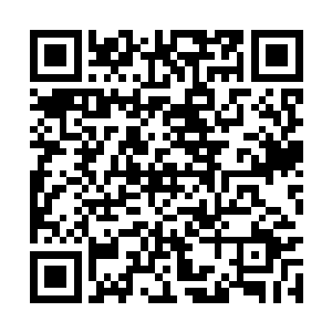 肉香混合着各种勾引人食欲的香味一同散发出来了二维码生成