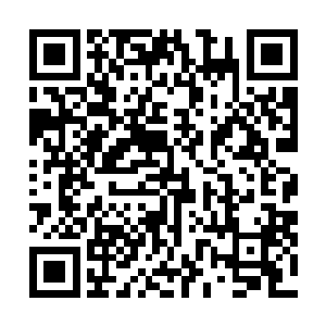 肖兰会被直接送去青城最大的医院进行进一步的观察治疗二维码生成