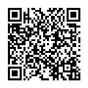 肖景容一见来人是基地里往日里总是用鼻孔看人的官员二维码生成