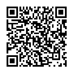 肖晴便已经将芳菲雪上上下下都调教的非常不错了二维码生成