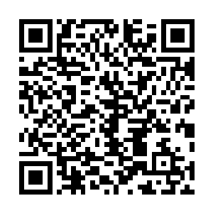 肖菲也终于明白为什么王铮有如此惊人的物理基础和眼界二维码生成