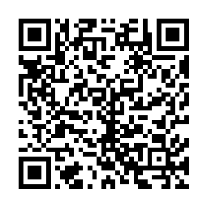 肖菲和马科斯都露出了笑容像穆逢春和盖尔不需要参与全程二维码生成