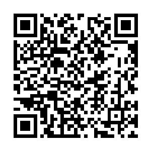 肖遥好像已经习惯了叶蕴意对他这样冰冷冷的样子二维码生成