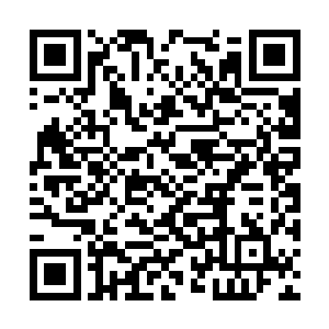 肝命仙蛊屋成功地给鲛人女仙们留下了深刻的印象二维码生成