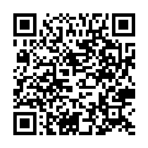 肥料的效果要到过几个月地里种粮食的时候才看得出来二维码生成