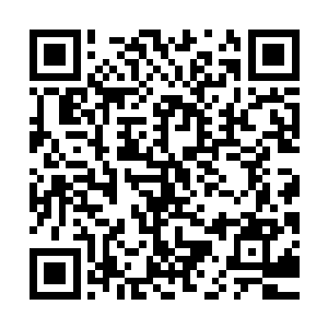 肩扛重物走十几里羊肠小道的风雨飘摇……那艰辛而快乐的童年二维码生成