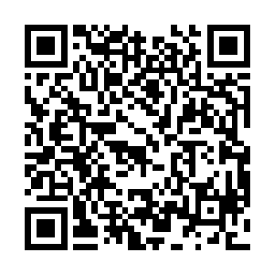 肩膀上还搭着萨内蒂球衣的荣光在混合区接受记者采访二维码生成