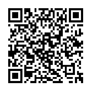肯付出的高手明显早已经知道秦方人并不在宁海二维码生成
