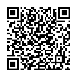 肯定不会对他下死手……可对于那些候选的圣殿使者就不同了二维码生成