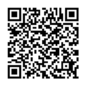 肯定也不是他一个刑部尚书及曾毅能抵抗的了的二维码生成