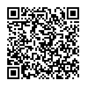 肯定也会依附过来不是如此一来天南便可如当年天东一样攥紧拳头二维码生成